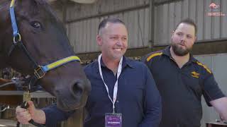 Harness the Dream 2022 | Stable Tour & Masterclass