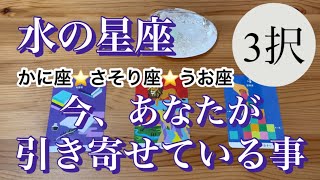 【３択】水の星座さんへ💕かに座♋️さそり座♏️うお座♓️今、あなたが引き寄せている事✨