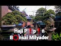 Bonsai K🟢lekt🔴r Milyarder Bali❗Bapak Haji Pipin