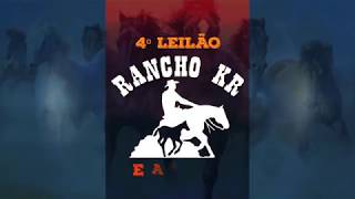 Leilão Rancho KR e amigos