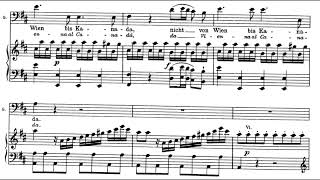 Rivolgete a lui lo sguardo (Così fan tutte - W.A. Mozart) Score Animation