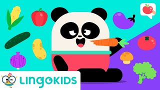 VEGETABLES FOR KIDS 🥦  SONGS, VOCABULARY and GAMES | Lingokids