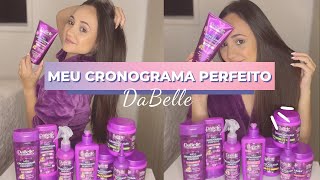 RESENHA MEU CRONOGRAMA PERFEITO DABELLE