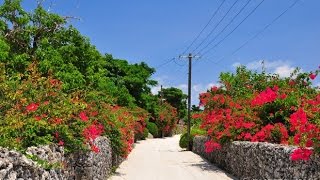 民謡で今日拝なびら（沖縄民謡のリクエスト長寿番組）2015年5月15日放送分 ～Okinawan music radio program