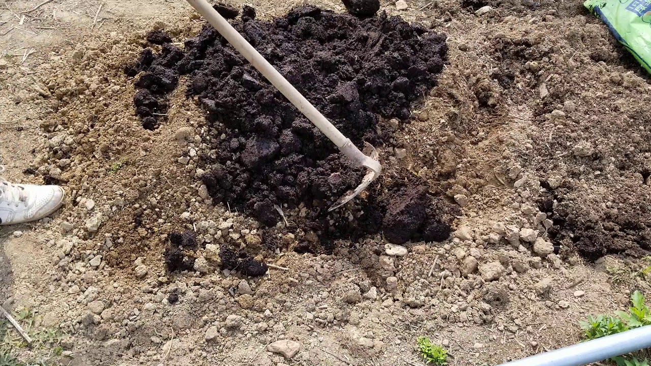 May 20, 2020 Soil Preparation In My Garden Part1 - YouTube