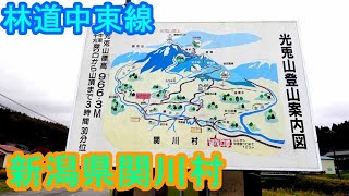 光兎山（こうさぎさん）登山口のある林道中束（なかまるけ）線（新潟県関川村）舗装林道