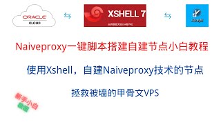 Naiveproxy一键脚本搭建节点新手小白教程，自建稳定好用的VPN，拯救被封的甲骨文VPS