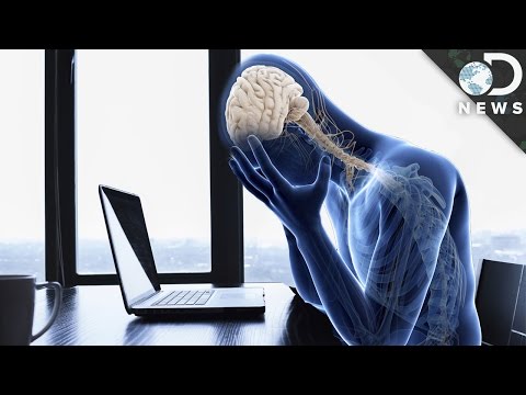 What Does Stress Do To Your Body? What Does Stress Do To Your Body?