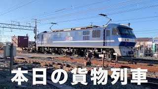 【貨物列車】本日の貨物列車　東海道本線1050番列車　Today's freight train