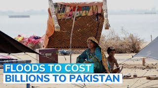 Floods In Pakistan Cause Economic Loss Of $12.5 Billion