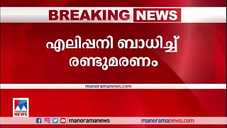 മലപ്പുറത്ത് എലിപ്പനി ബാധിച്ച് അച്ഛനും മകനും മരിച്ചു | Malappuram | Rat Fever Death