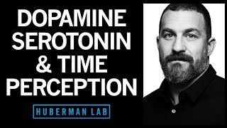 Time Perception & Entrainment by Dopamine, Serotonin & Hormones