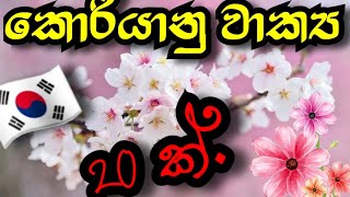 වටිනා කොරියානු වාක්‍ය 20ක්. 23.03.29.