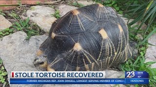 $10,000 Endangered Tortoise Stolen from Zoo