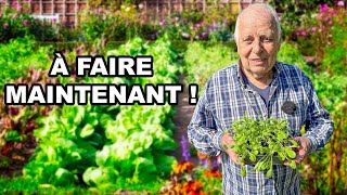 Que planter et semer en automne pour récolter tout lhiver ?