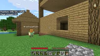 Minecraft Ep. 28