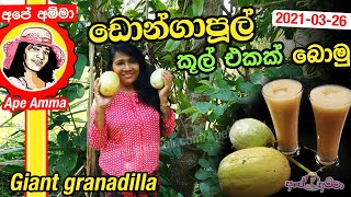 ✔ ඩොන්ගාපූල් කූල් එකක් බොමු Special Giant granadilla passion drink by Apé Amma (Dongapul)