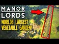 I Built the Worlds LARGEST Burgage Carrot Plot in Manor Lords!