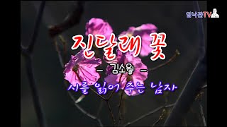 진달래 꽃 /김소월 /시(詩)를 읽어주는 남자 임낙관/낭송시/영상시/좋은시