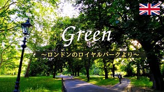 【イギリス暮らし】私の大好きな場所/ロンドンのロイヤルパーク/公園の緑で癒しの午後/バーチャル散歩で緑を感じる