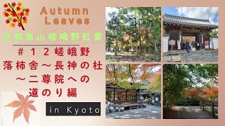 【風景と自然】京都嵐山嵯峨野 紅葉 ＃１２  落柿舎～長神の杜～二尊院 2024年11月30日　Kyoto, Arashiyama, Sagano Autumn Leaves Series #12