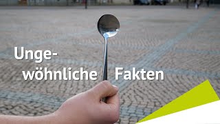 5 Ungewöhnliche Fakten über Wolfenbüttel