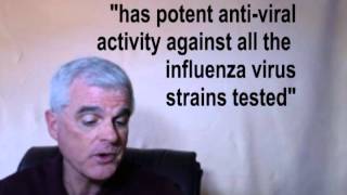 Oil of Oregano and Echinacea Benefits: Natural Antiviral? Part 1 Oil of Oregano and Echinacea Benefits: Natural Antiviral? Part 1