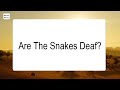 are the snakes deaf