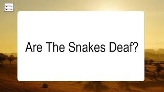 Are The Snakes Deaf