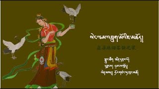 Drukmo Tea offering Song Hortsang Lhalung Tso འབྲུག་མོའི་ཇ་མཆོད། ཧོར་གཙང་ལྷ་ལུང་འཚོ། 2021霍尔仓·拉龙措最新