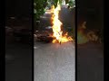 Honda Z50 fire