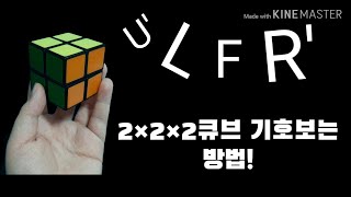 2×2×2큐브 기호보는 방법 알려드립니다! 큐브 기호 보는 방법 모르시는 분들 꼭 보세요.-펭귄2형제