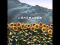 sunflower field ひまわり畑 feat. see ya nextime