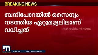 കശ്മീരിൽ ഭീകരരുടെ നുഴഞ്ഞുകയറ്റ ശ്രമം തകർത്തു | Mathrubhumi News