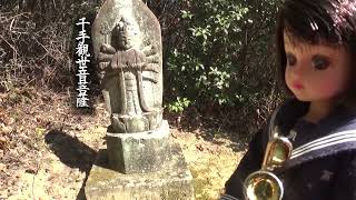 30秒の心象風景21744・石仏の三十三観音 22～妙徳山神積寺～