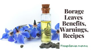 #medicinalherbs #herbs Borage Leaves, seeds \u0026 Borage Oil uses, benefits, recipes \u0026 Side effects