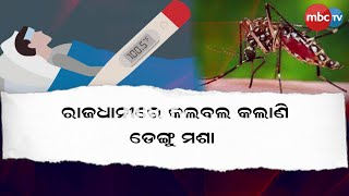 ଚିନ୍ତା ବଢ଼ାଇଲାଣି ଡେଙ୍ଗୁ...