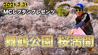 MCレプタン 001  舞鶴公園 桜満開 / Subtitle ENGLISH