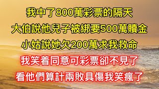 我中了800萬彩票的隔天，大伯說他兒子被綁要500萬贖金，小姑說她欠200萬求我救命，我笑着同意可彩票卻不見了，看他們算計兩敗具傷我笑瘋了