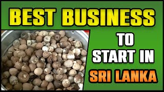 Best Business To Start In Sri Lanka (karunka ) | පහසුවෙන්ම පුවක් කරුංකා කරන ආකාරය