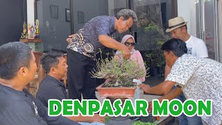 DENPASAR MOON MAKIN TERLIHAT KEKARNYA