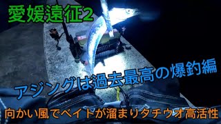 [愛媛県]アジングは過去最高の爆釣劇。アジングロッドでタチウオもブッコ抜き。#イージーシェイカー #シマノ#ライトグリッパー#釣り