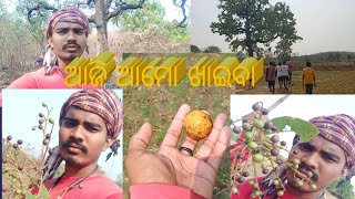 ବର୍ଷା ଖରା କିଛି ନାହିଁ ଆମୋ ପାଇଁ ଚାଲ କେନ୍ଦୁ ଖାଇବା #vlogvideo #supersipu