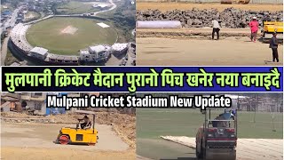 Mulpani Cricket Ground Latest Update | Mulpani Cricket Pitch Construction | पिच नया बनाइदै