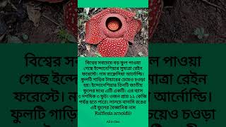 বিশ্বের সবচেয়ে বড় ফুল | #biggest #flower #সবচেয়ে #বড়  #ফুল