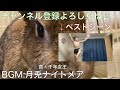 真・千年女王【実写】の裏側