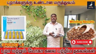 Episode - 5 : புறாக்களுக்கு உண்டான மருத்துவம் | Racing Pigeon Feeding Secrets