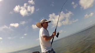 Florida Barracuda \u0026 sharkfishing