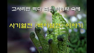 백이열전 인문학 고전 읽기 - 사마천 사기열전 -백이 숙제 고사성어-천도시비(天道是非)