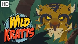Wild Kratts - The Deadliest Felines in Nature